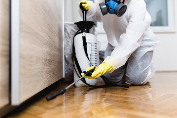 Best Rat Extermination Near Me  in Dover, NJ