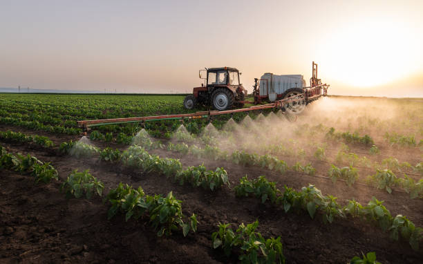 Pest Control Cost in Dover, NJ
