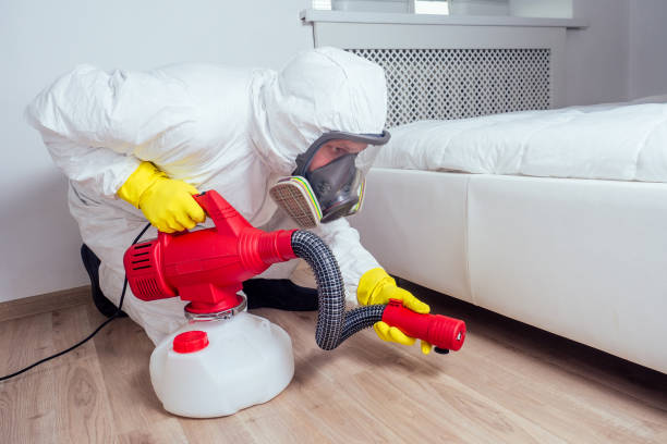 Best Mosquito Control Services  in Dover, NJ