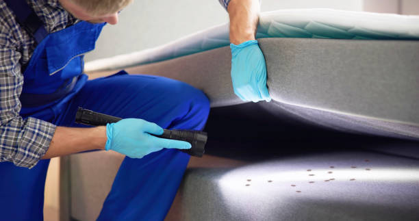 Best Pest Prevention Services  in Dover, NJ
