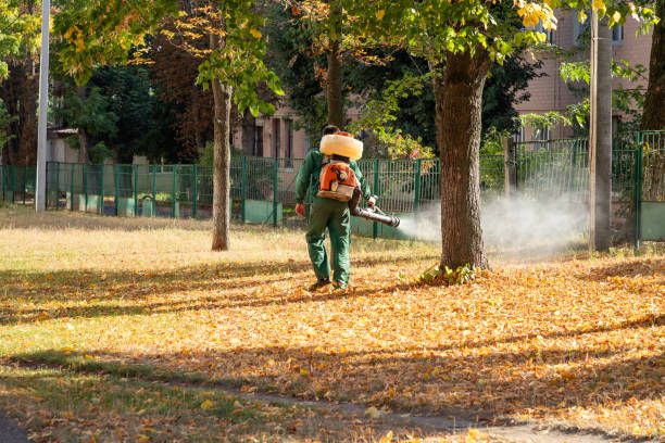 Best Best Pest Control Companies  in Dover, NJ